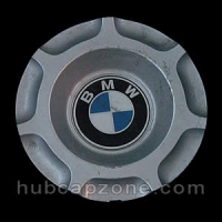 BMW silver center cap