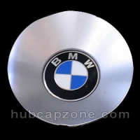 BMW silver center cap